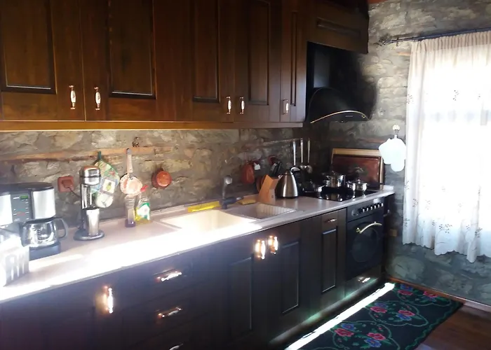 Vila Traditional Stone House In Grevenon